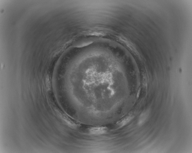 X0000080200465200612081432