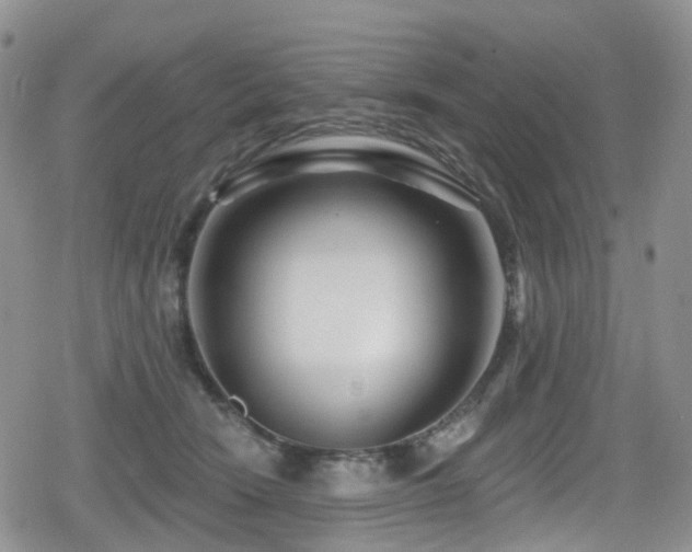 X0000080200466200612081432