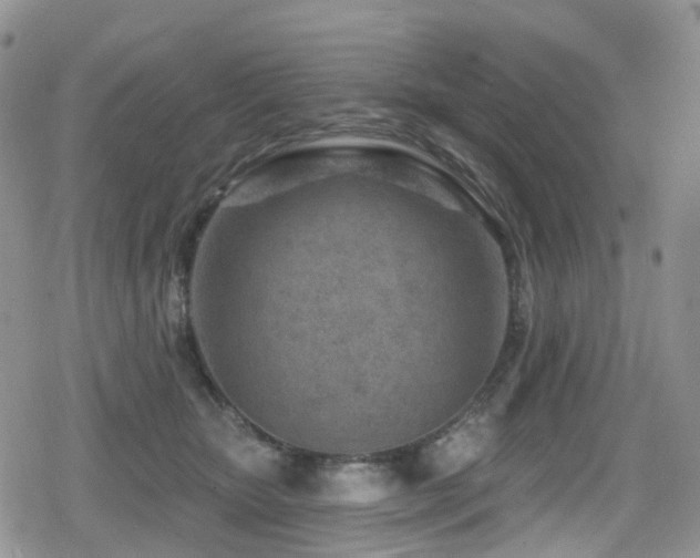 X0000080200467200612081432