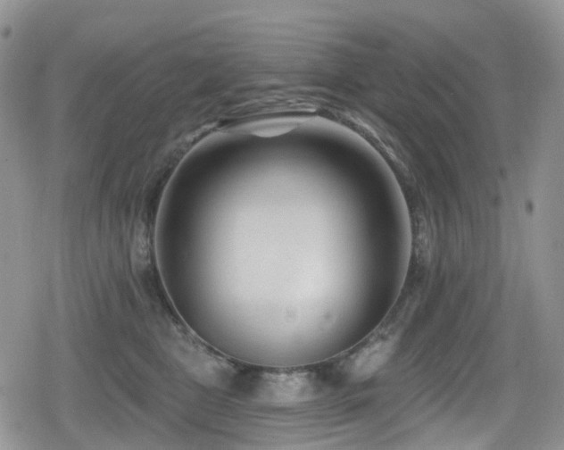 X0000080200469200612081432