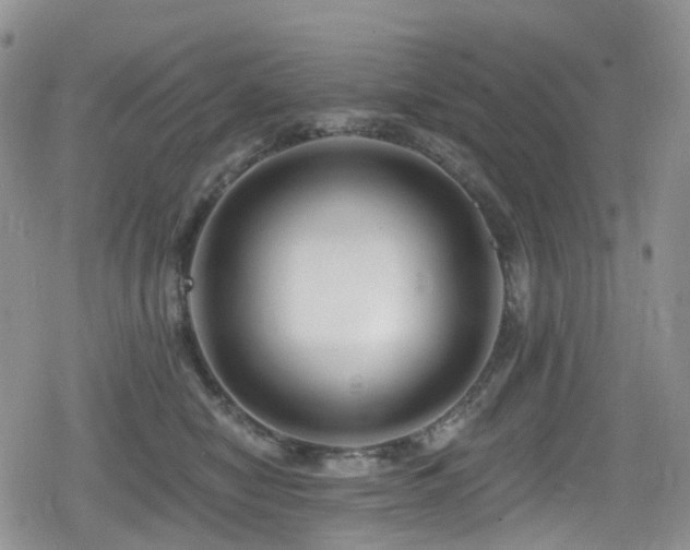 X0000080200470200612081432