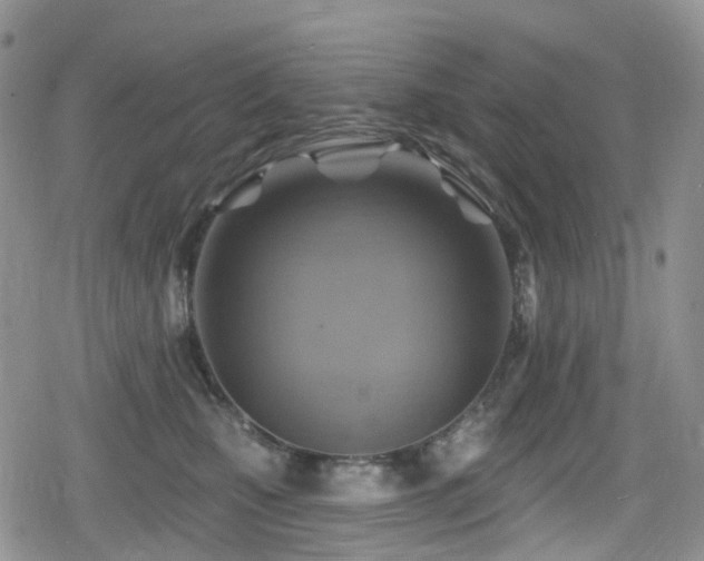 X0000080200471200612081432