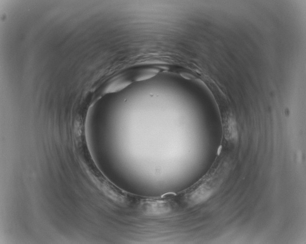 X0000080200472200612081432