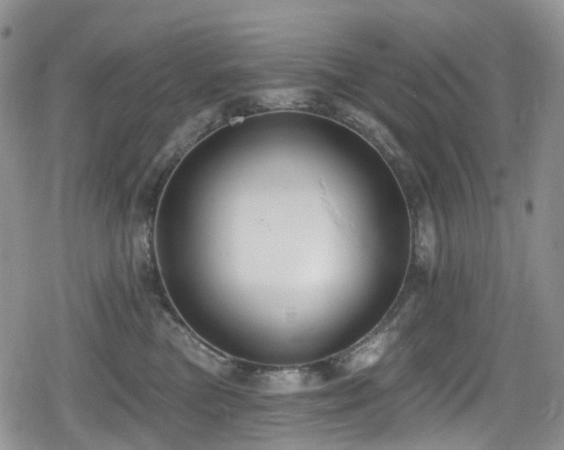 X0000080200473200612081432