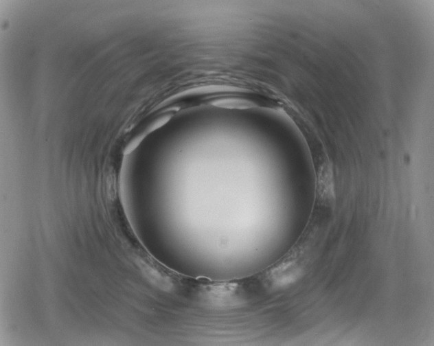 X0000080200474200612081432