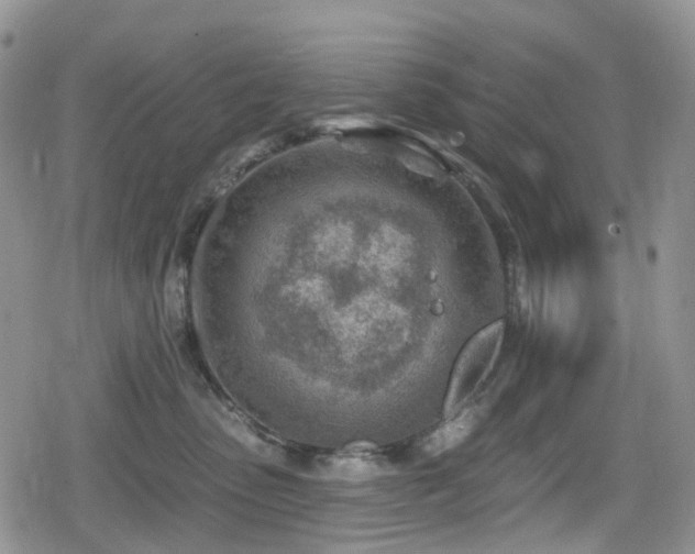 X0000080200475200612081432