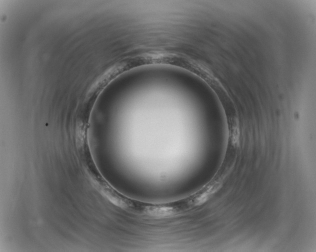 X0000080200476200612081432