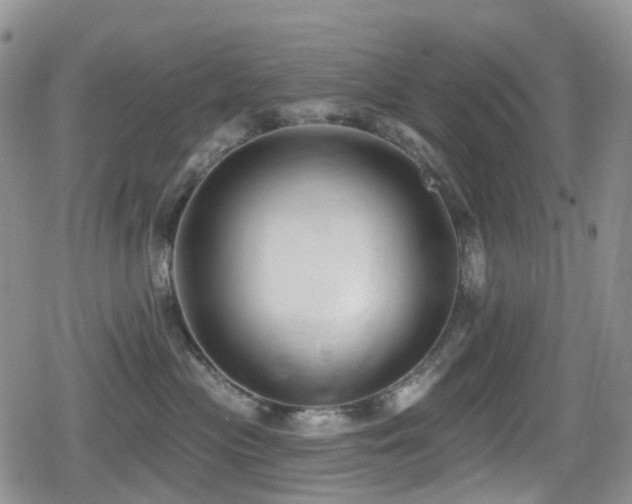 X0000080200477200612081432