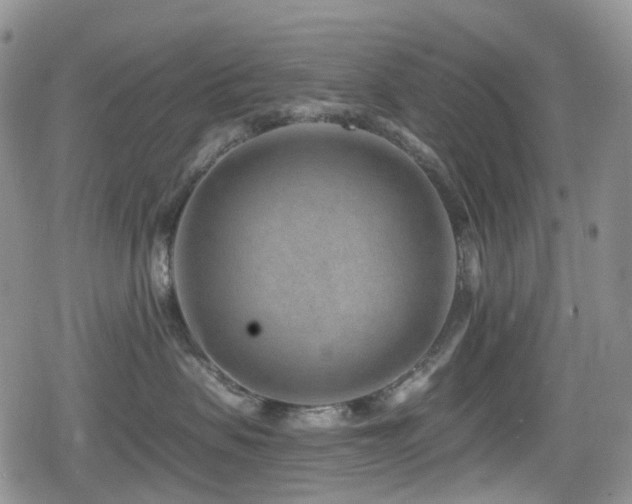 X0000080200479200612081432