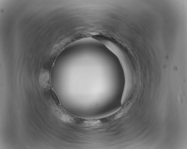 X0000080200480200612081432