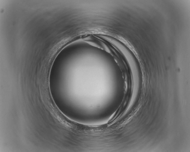 X0000080200481200612081431