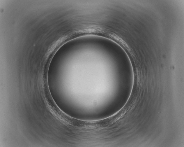 X0000080200482200612081431