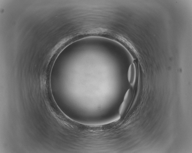 X0000080200483200612081431