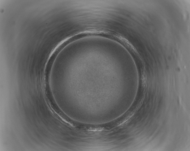 X0000080200484200612081431