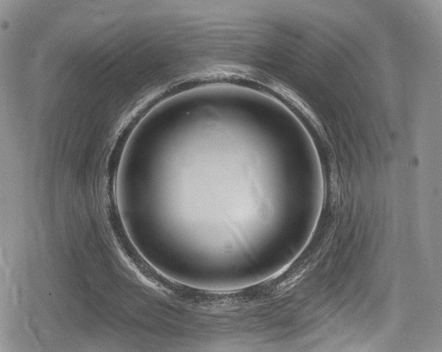 X0000080200485200612081431