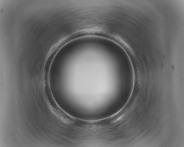 X0000080200486200612081431