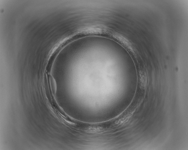 X0000080200487200612081431