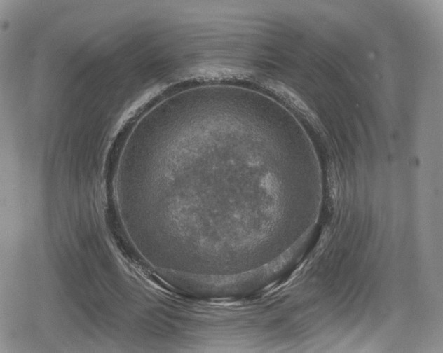 X0000080200488200612081431