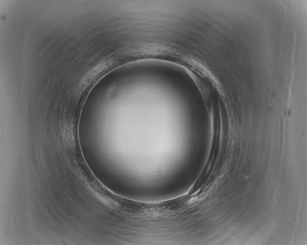 X0000080200489200612081431