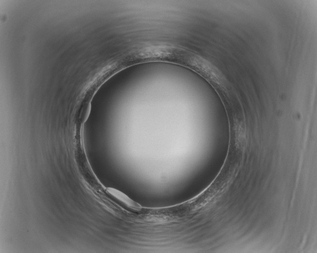 X0000080200490200612081431