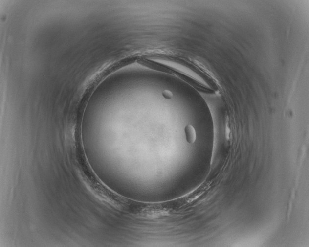 X0000080200491200612081431