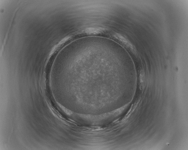 X0000080200492200612081431