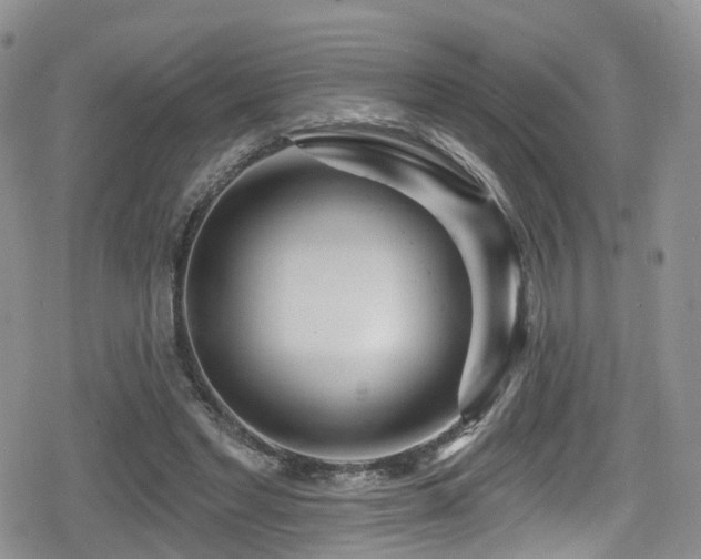 X0000080200493200612081431