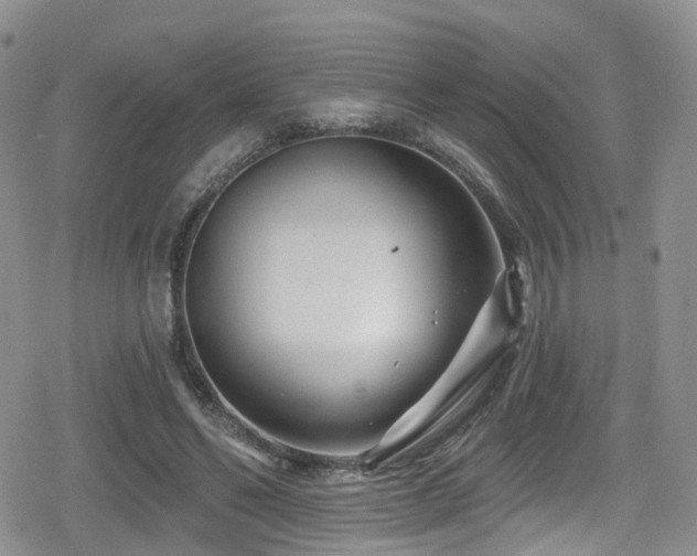 X0000080200494200612081431