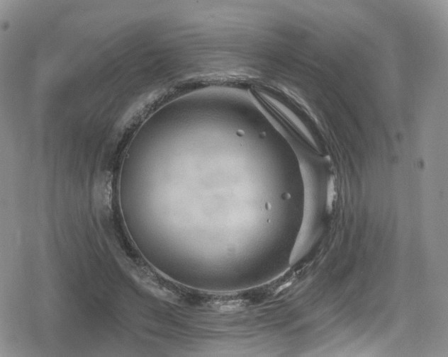 X0000080200495200612081431