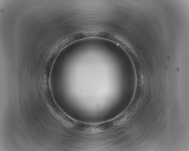 X0000080200498200612081431