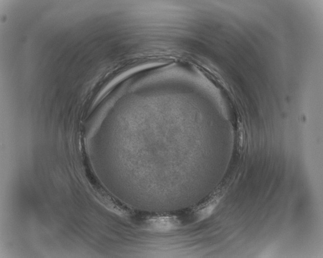 X0000080200499200612081431