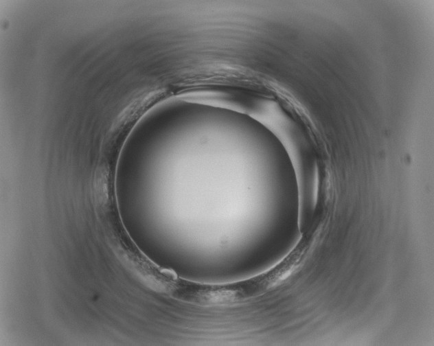 X0000080200501200612081431