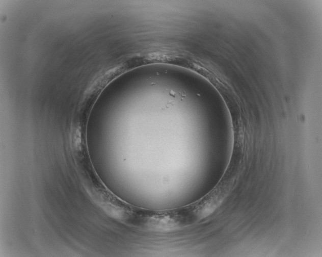 X0000080200502200612081431