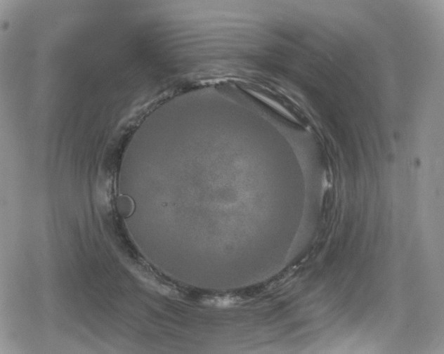 X0000080200503200612081431