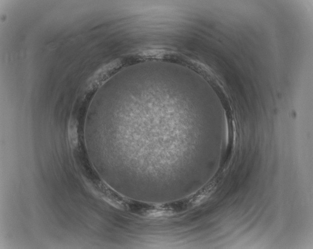 X0000080200504200612081431