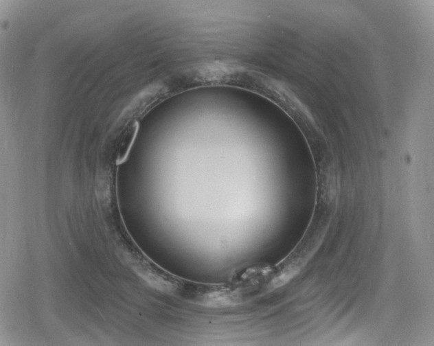 X0000080200505200612081431