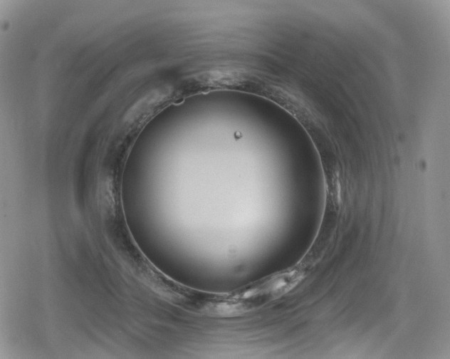 X0000080200506200612081431