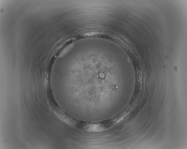 X0000080200507200612081431