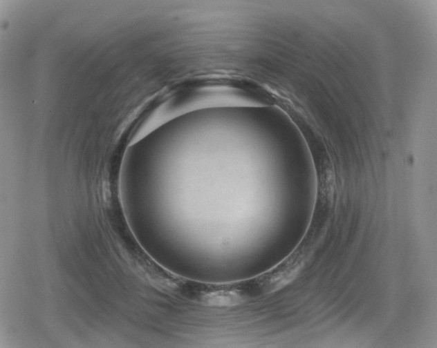 X0000080200508200612081431