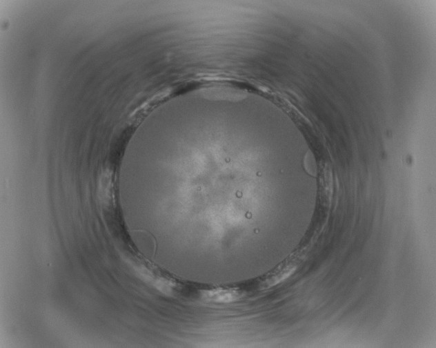 X0000080200511200612081431