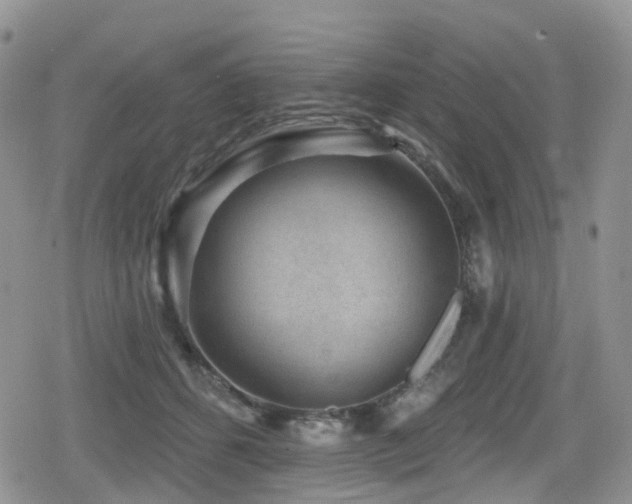 X0000080200512200612081431