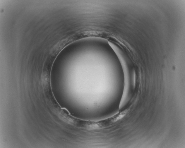 X0000080200513200612081431