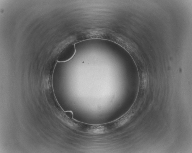 X0000080200514200612081430