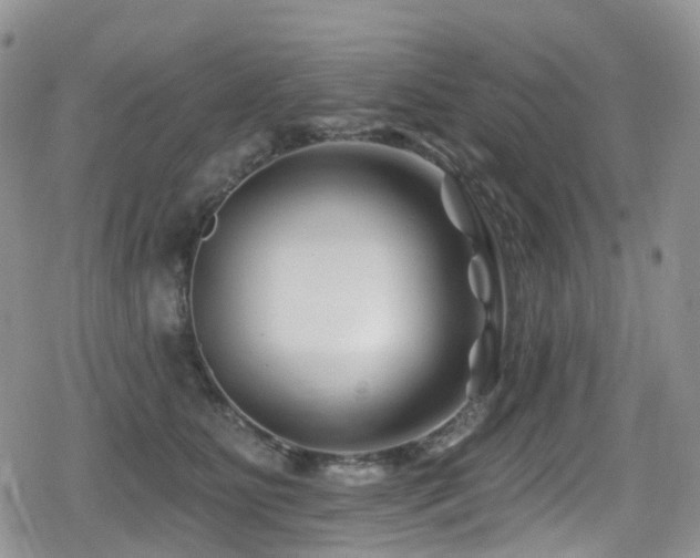 X0000080200515200612081430