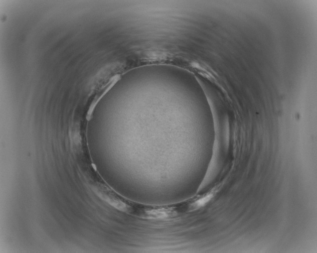 X0000080200516200612081430