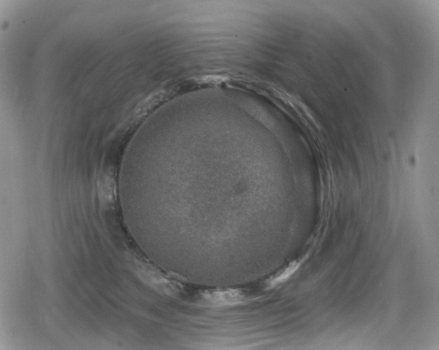 X0000080200517200612081430