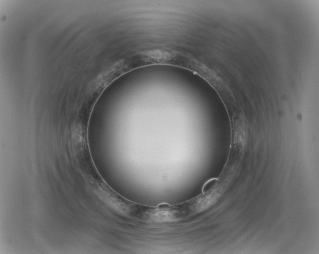 X0000080200518200612081430