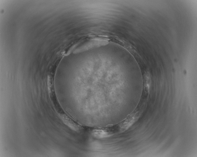 X0000080200519200612081430