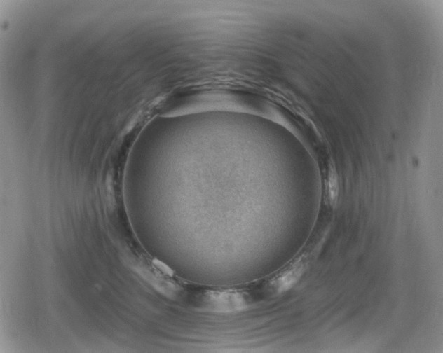 X0000080200520200612081430