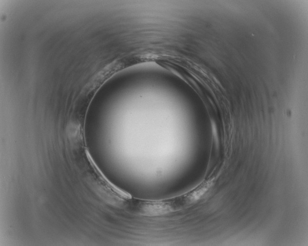 X0000080200521200612081430